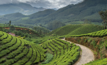 Kerala Tour Package: 2 Nights / 3 Days