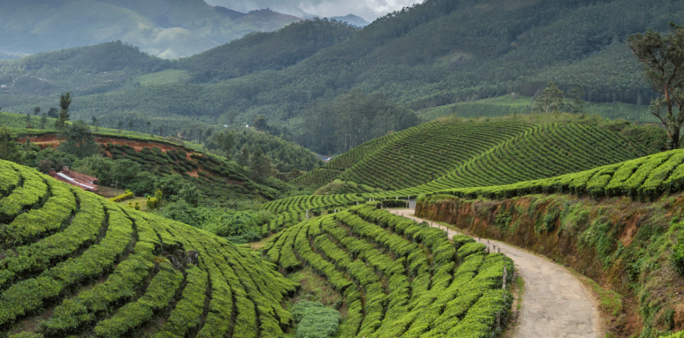 Black and Blue Modern Munnar Adventure Instagram Post